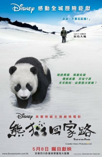 След панды (2009) постер