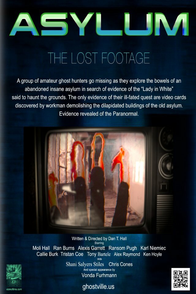 Asylum, the Lost Footage (2013) постер