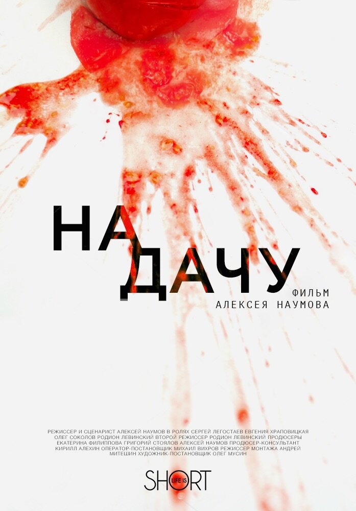 На дачу (2016) постер