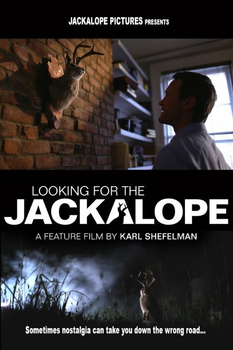 Looking for the Jackalope (2016) постер