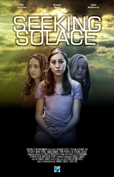 Seeking Solace (2016) постер