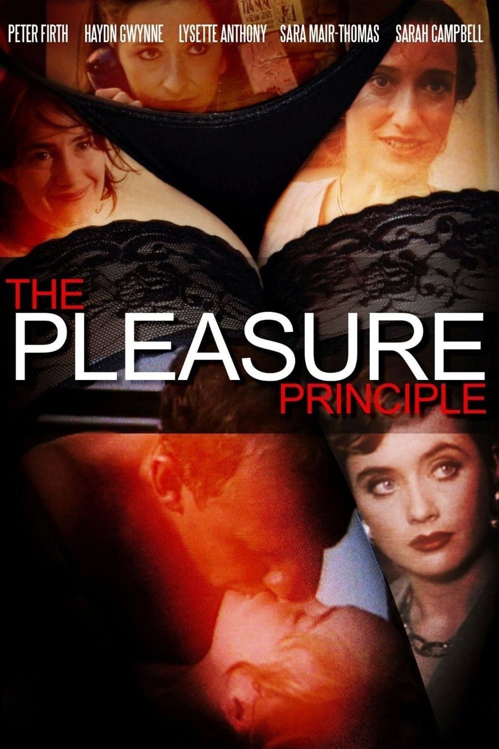 The Pleasure Principle (1992) постер