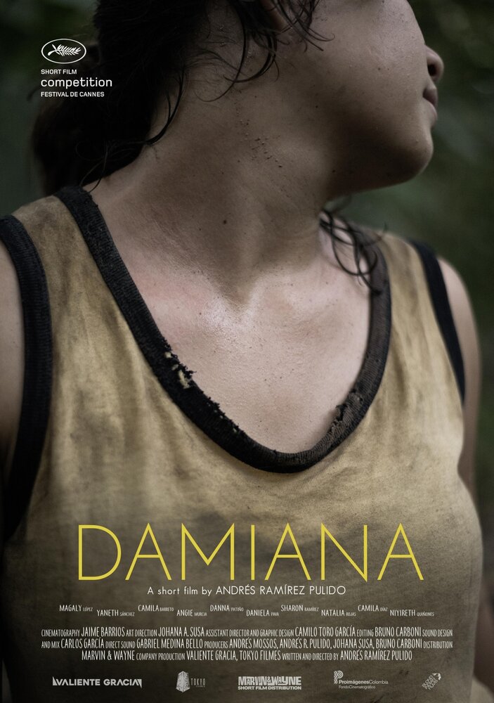 Дамиана (2017) постер