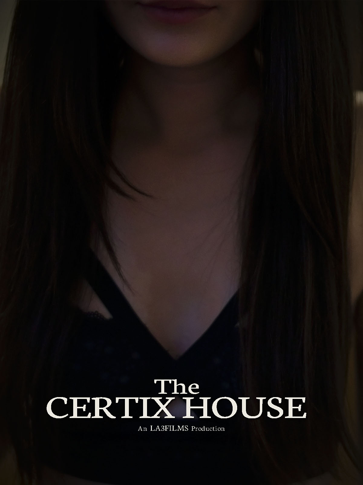 The Certix House (2020) постер