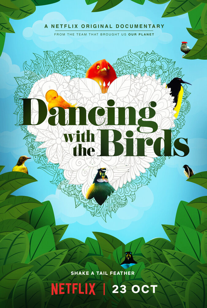 Танцы с птицами (2019) постер
