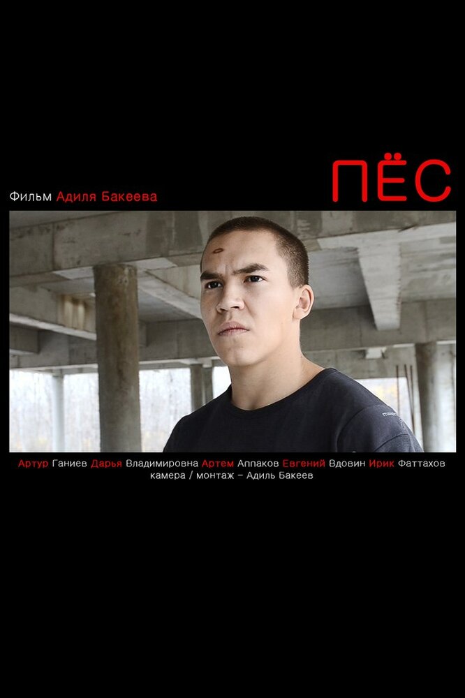 Пес (2012) постер